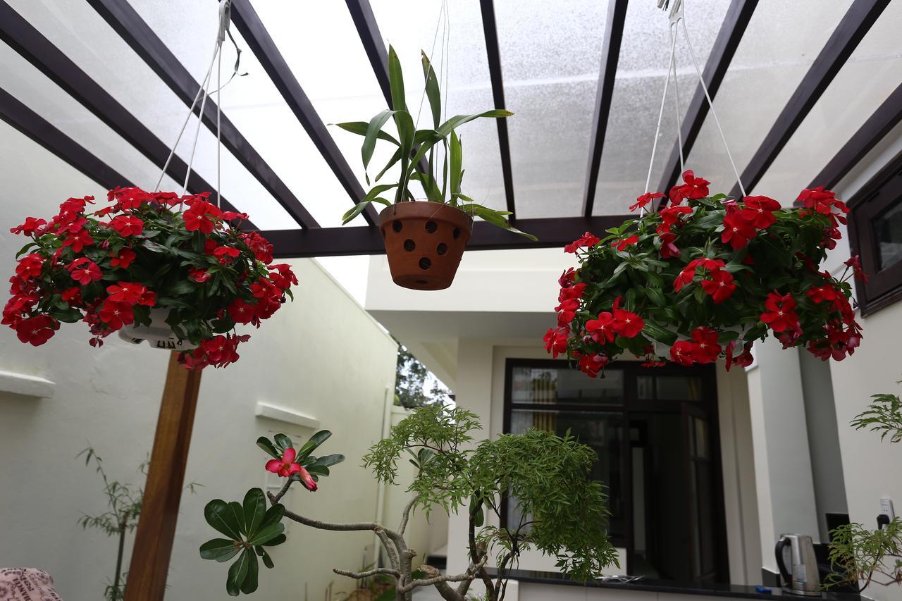 Hoi An Cottage Villa Exterior foto
